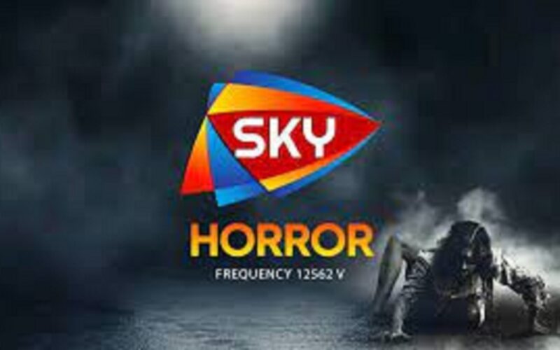 تردد قناة سكاي رعب 2022 الجديد SKY HORROR لمتابعة أقوى الافلام الاجنبية بجودة عالية على النايل سات