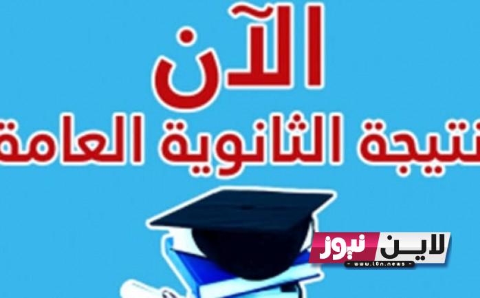 الان موعد ظهور نتيجة الثانوية العامة 2024 وفقاً لتصريحات وزير التربية والتعليم