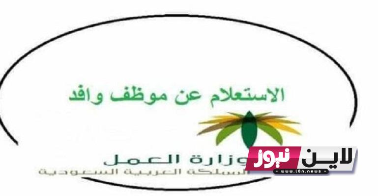 “فعال” رابط استعلام عن موظف وافد برقم الإقامة 1445 عبر موقع وزارة الموارد البشرية والتنمية الاجتماعية