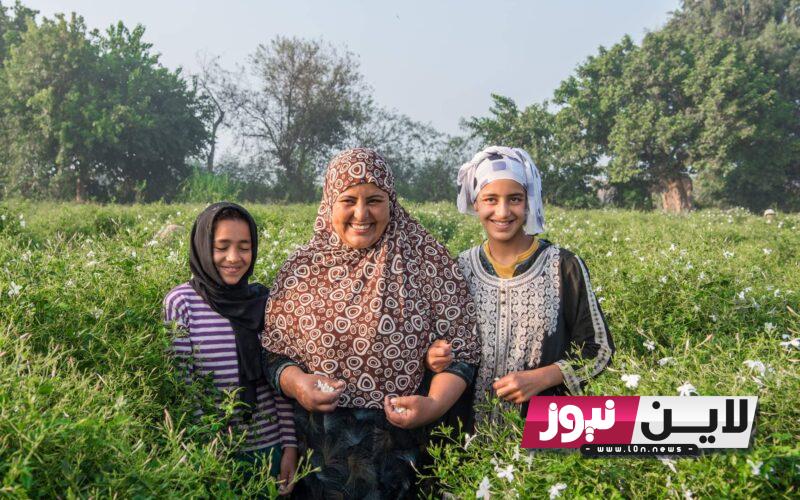 الاستعلام عن الأسماء الجدد في تكافل وكرامة 2023 من خلال موقع وزارة التضامن الاجتماعي