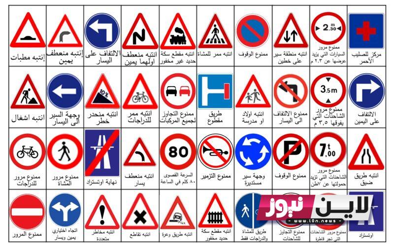 الان رابط نتيجة امتحان تؤوريا 2023 من خلال موقع وزارة النقل والمواصلات الفلسطينية الرسمي