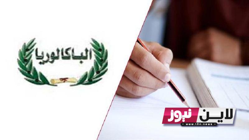 “Important” تابع موعد نتائج البكالوريا 2023 في سوريا عبر moed.gov.sy