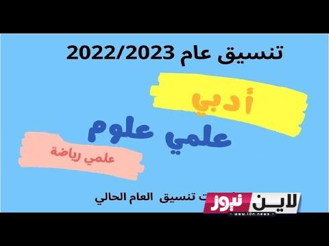 عاجل “بالنسب المئوية”.. تنسيق الكليات 2024 علمي رياضة “أخر التوقعات” قبل إعلان النتيجة بأيام