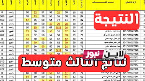 “استخرج الان” نتائج الثالث متوسط 2023 الدور الاول موقع نتائجنا ذي قار PDF في عموم المحافظات