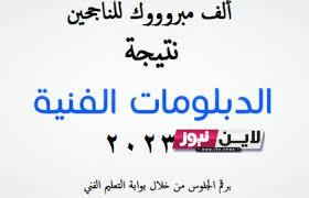 ظهور نتيجة دبلوم التجارة برقم الجلوس محافظة الشرقية عبر رابط بوابة التعليم الفني