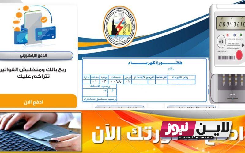 إلكترونيًا: استعلام عن فاتوره الكهرباء 2023 شمال الدلتا برقم العداد عبر موقع ndedco.gov.eg