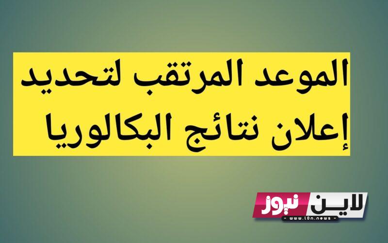 “الاعلان اليوم” نتائج البكالوريا 2023 سوريا | رابط نتائج البكالوريا سوريا للاستعلام بالاسم ورقم الاكتتاب الدورة الاولي