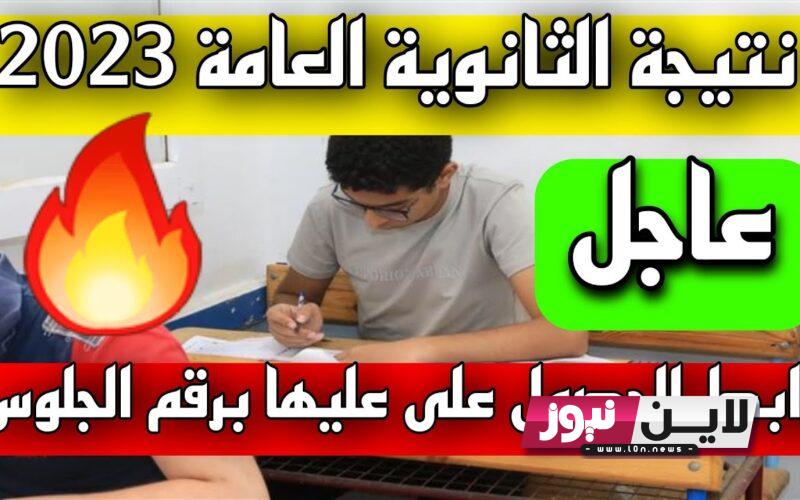 “الف مبروووك” نتيجة الثانوية العامة 2023 برقم الجلوس عبر موقع وزارة التربية والتعليم