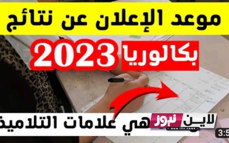 “دورة المراقبة” الإعلان عن نتائج البكالوريا 2023 تونس من خلال موقع وزارة التربية والتعليم في تونس