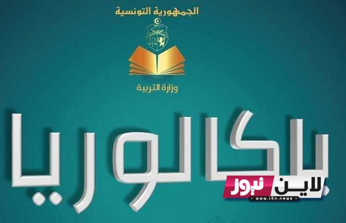 “رابط فعــال” نتيجة البكالوريا 2023 تونس| نتائج الباك بتونس عبر موقع وزارة التربية والتعليم التونسية education.gov.tn