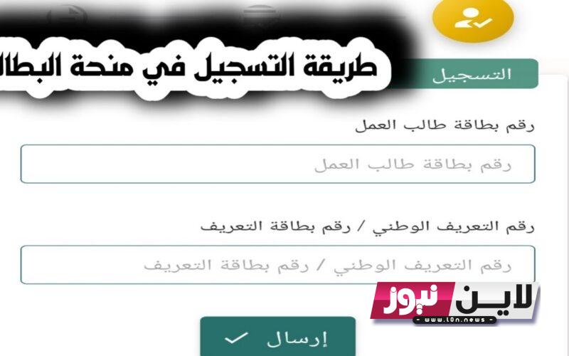 رابط موقع التسجيل في منحة البطالة الكترونيا من خلال www.anem.dz