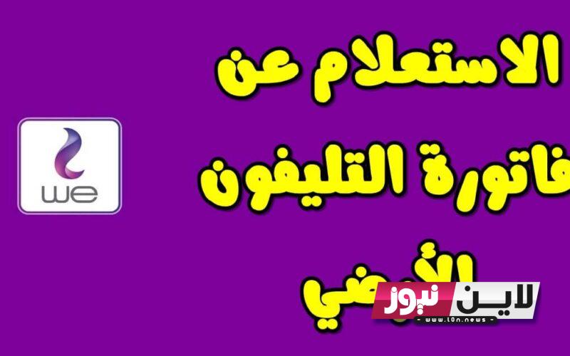 “قبل انقطاع الخدمة” الاستعلام عن فاتورة التليفون الأرضي لشهر يوليو 2023 بالرقم القومي من خلال الشركة المصرية للاتصالات