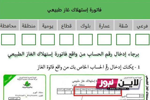 بالرقم القومي.. الاستعلام عن فاتورة الغاز لشهر يوليو 2023 الكترونياً من خلال petrotrade.com.eg