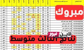 نتائج الثالث متوسط 2023 الدور الاول pdf في كافة المحافظات عبر موقع نتائجنا