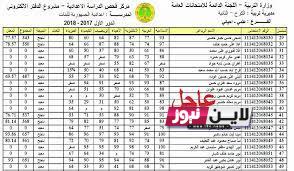 “بمعدلات عالية” رابط نتائج السادس الاعدادي 2023 موقع نتائجنا pdf عبر mlazemna موقع وزارة التربية