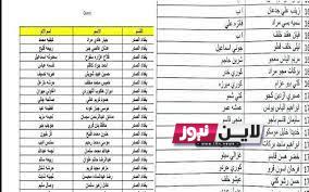 اسماء الرعاية الاجتماعية الوجبة التاسعة pdf 2023 وشروط الحصول علي الوجبة التاسعة والاخيرة