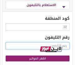 ” بالخطوات” الاستعلام عن فاتورة التليفون الارضي بالرقم القومي عبر billing.te.eg