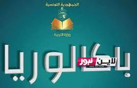 من هنا.. نتيجة البكالوريا 2023 تونس الباك تونس من خلال موقع وزارة التربية التونسية