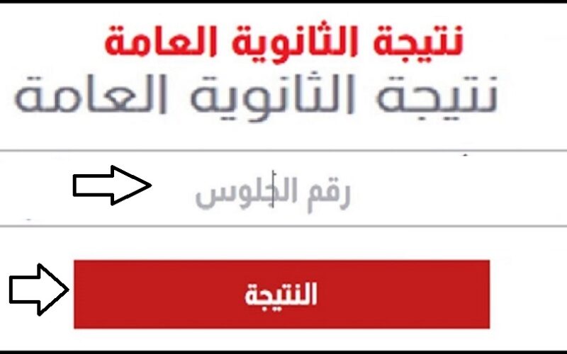 الآن.. رابط اليوم السابع نتيجة الثانوية العامة أسماء الأوائل|| نتيجة الثانوية العامة بالاسم فقط بدون رقم الجلوس من خلال موقع وزارة التربية والتعليم المصرية