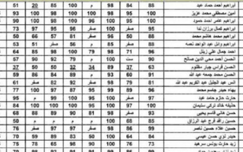 مرصود… تفصيلياً رابط نتائج السادس الاعدادي في العراق 2023 دور أول نينوي-الرصافة الأولى