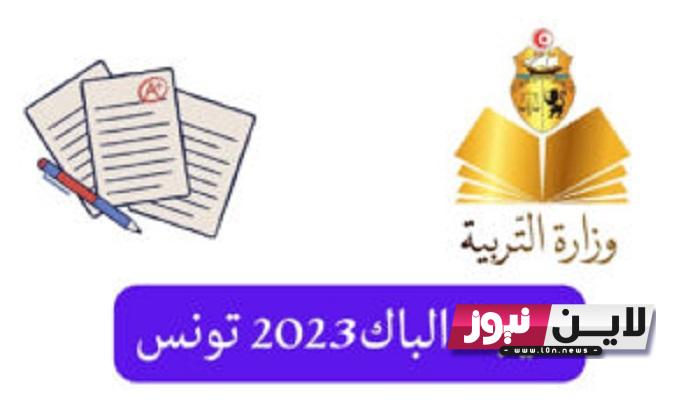 نتائج البكالوريا 2023 تونس دورة المراقبة بمختلف ولايات الجمهورية education.gov.tn