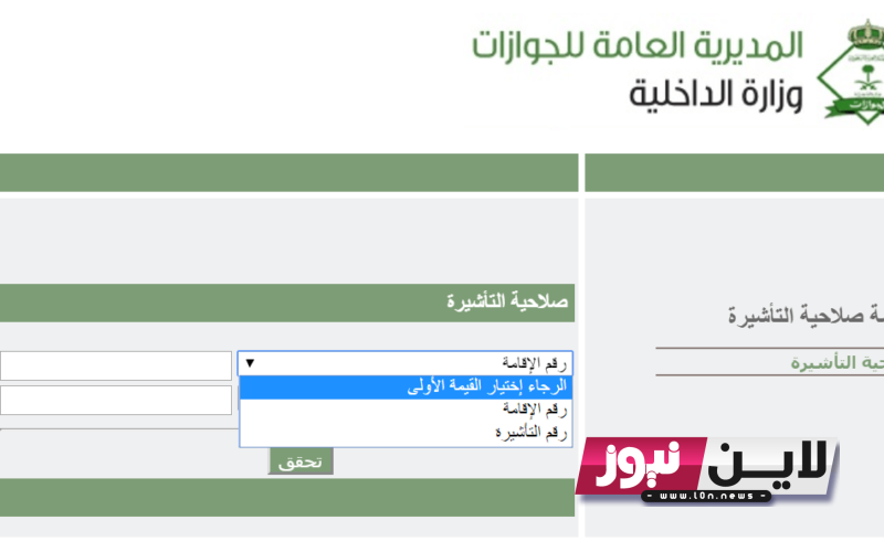 «أون لاين» استعلام عن التأشيرة برقم الجواز 1445 وشروط الحصول علي تأشيرة السعودية