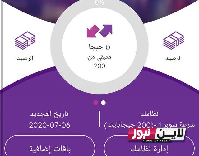 landline .. دفع فاتورة التليفون الارضي شهر اغسطس 2023 عبر موقع billing.te.eg بعد التحديث الاخير