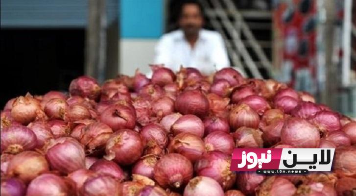 عاااجل: ارتفاع أسعار البصل اليوم الاثنين 14/8/2023 في الأسواق المصرية المحلية والعالمية