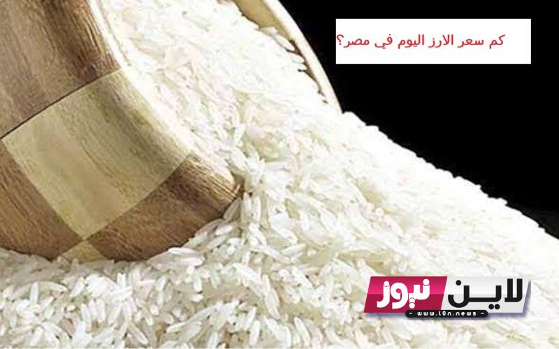 كم سعر الارز اليوم في مصر؟ | سعر الأرز الشعير الآن الخميس 17/8/2023 بجميع الاسواق المحلية