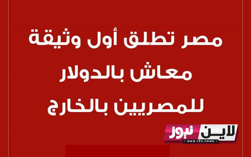 ابشروو: وثيقة معاش بالدولار للمصريين بالخارج.. تعرف علي تفاصيل الحملة التأمينية الجديدة بحد أدنى 500 دولار للشراء