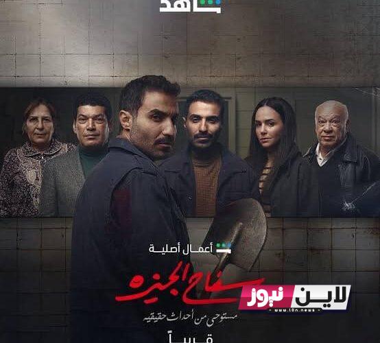 موعد عرض مسلسل سفاح الجيزة.. يكشف تفاصيل دوره في مسلسل السفاح وموعد عرضه