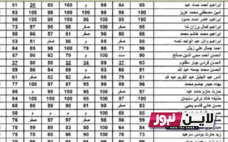 الآن توضيح نتائج سادس اعدادي 2023 دور ثاني وخطوات الاستعلام عبر موقع وزارة التربية العراقية ونتائجنا