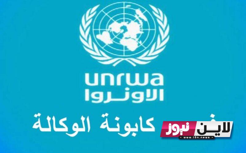 رابط فحص كابونة الوكالة شهر 8 اغسطس عبر الموقع الرسمي عبر gfoportal.unrwa.org