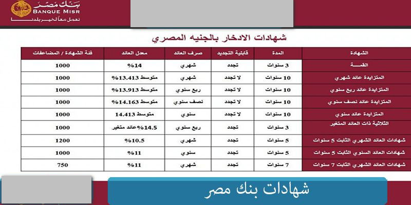 مليون مبروك يا بن المحظوظة… عائد يصل إلى 22% من بنك مصر أعلى شهادة استثمار في مصر