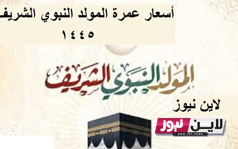 “حسب البرنامج” أسعار عمرة المولد النبوي 2023/1445.. تبدأ من 26 ألف جنيه وإقامة 12 يومًا بمكة والمدينة