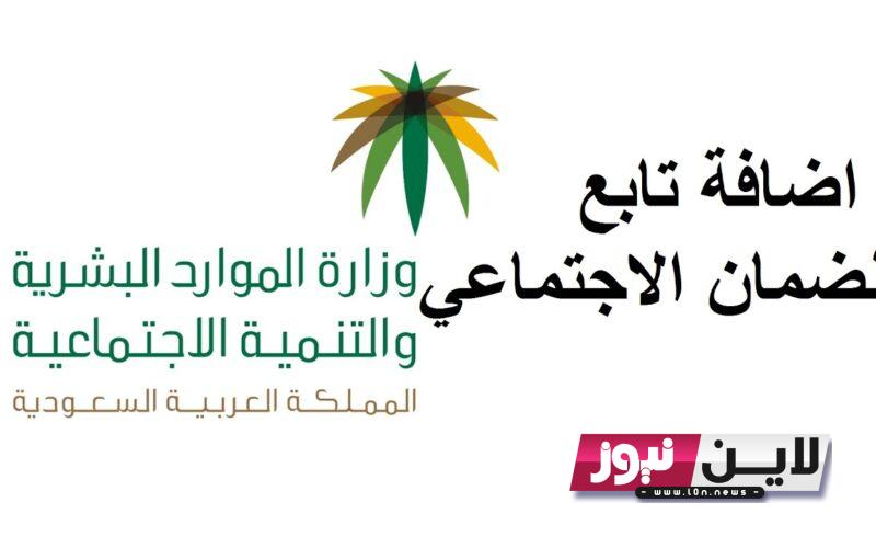 شاهد التفاصيل.. رابط الضمان الاجتماعي المطور | كيف أعرف إني انقبلت في الضمان المطور hrsd.gov.sa