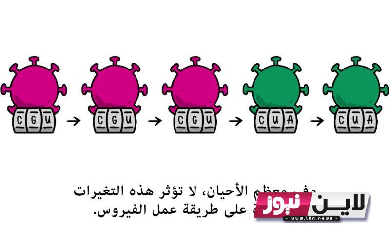 الفيروس القاتل .. اسباب انتشار فيروس كورونا الجديد EG.5|| منظمة الصحة العالمية تهيب المواطنين بسرعة تلقي اللقاحات تجنبا للعدوى