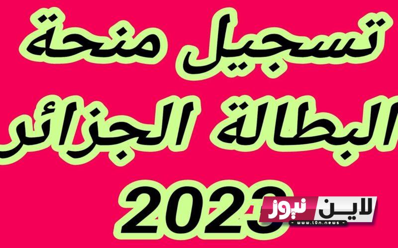 لينك تسجيل منحة البطالة 2023 للمتزوجات عبر موقع الوكالة الوطنية للتشغيل وأهم شروط التسجيل