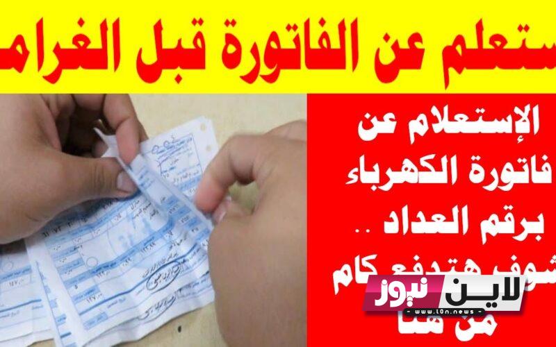 معرفة فاتورة الكهرباء لشهر اغسطس 2023| كيفية الاستعلام عن فاتورة الكهرباء برقم العداد اون لاين