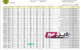 متاحة هُنا نتائج السادس الاعدادي 2023 عبر موقع epedu.gov.iq نتائجنا وزارة التربية العراقية