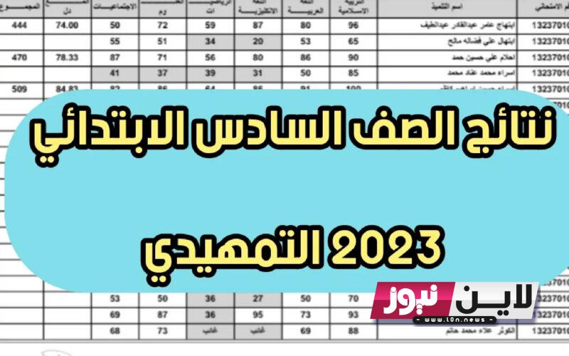 هُنا.. نتائج السادس الابتدائي 2023 نينوى دور ثانيPDF بالرقم الامتحاني عبر موقع وزارة التربية العراقية