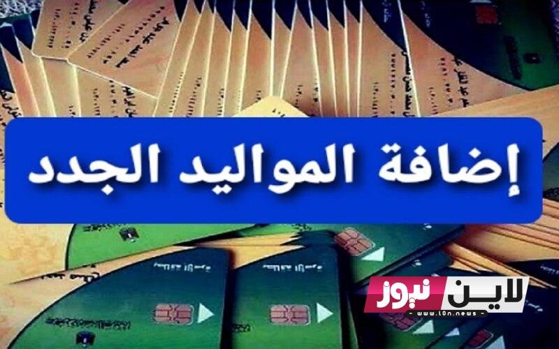 خطوات اضافه المواليد على بطاقه التموين 2023 دعم مصر والفئات المستحقة والشروط المطلوبة