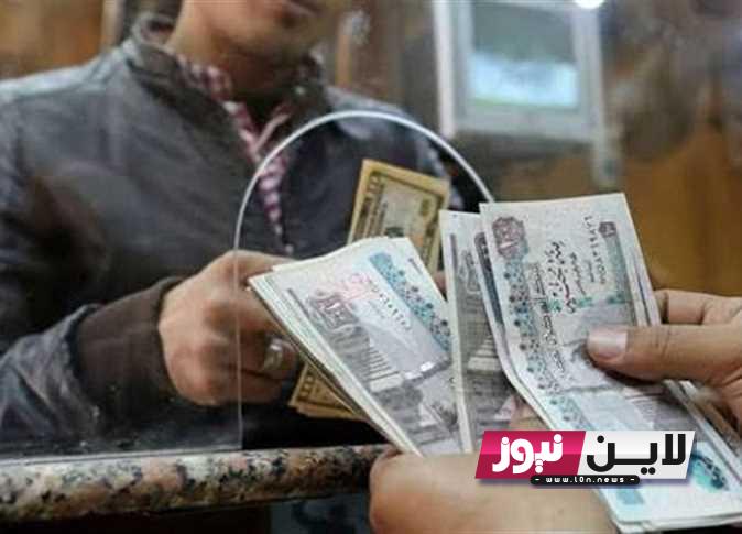 عااااجل “بعد الزيادة” خطوات الاستعلام عن معاش تكافل وكرامة 2023 والأوراق والشروط المطلوبة للتقديم