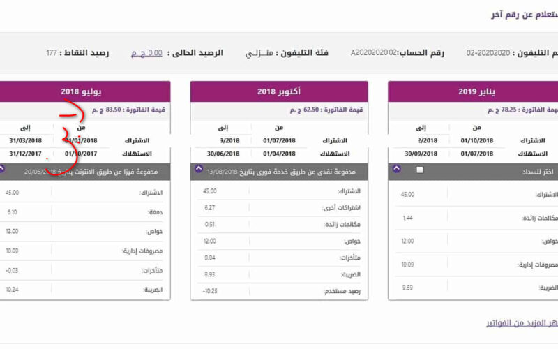 مليون مبروك مش هتدفع فاتورة الارضي :المصرية للاتصالات تعلن عن 4 فئات معافين من دفع فاتورة التليفون الأرضي