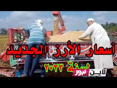 ” تحديث يومي ” طن الارز بكم؟.. اعرف سعر الارز الشعير اليوم الخميس 21/ 9/ 2023 في مصر بجميع الأسواق المحلية