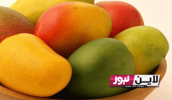 “خمول في الاسعار” سعر كيلو المانجو العويس اليوم السبت 2/9/2023 في اسواق العبور