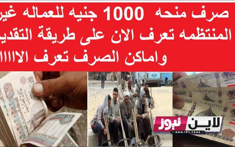 حقيقة صرف منحة 1000 جنية للعمالة الغير منتظمة.. وزارة القوى العاملة تُجيب