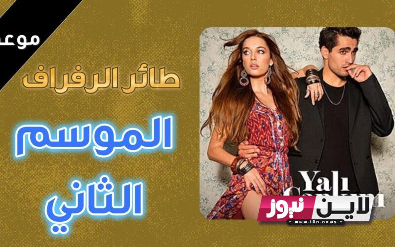 موعد عرض مسلسل طائر الرفراف الموسم الثاني Yalı çapkını مُترجم للعربية علي قناة MBC4 و Star TV