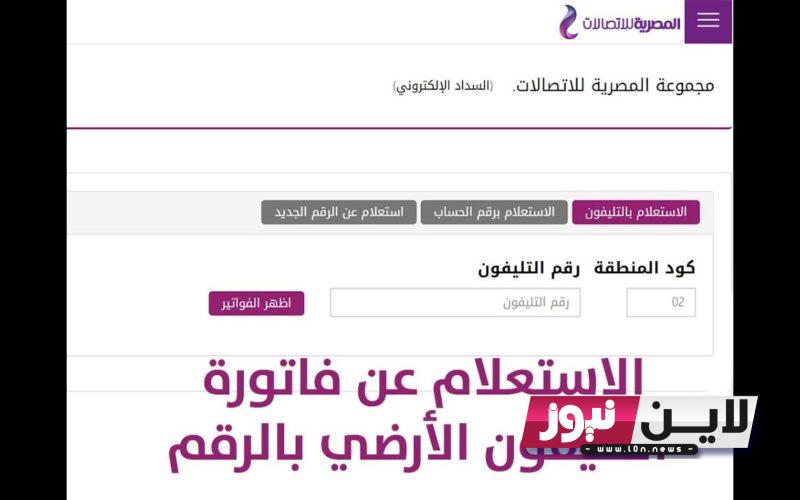 “بدوسة واحدة” الاستعلام عن فاتورة التليفون الأرضي بالرقم لشهر سبتمبر 2023 عبر موقع billing.te.eg