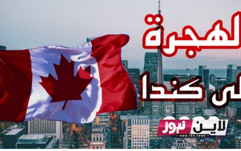 رابط التقديم للهجرة الى كندا 2023 عبر canada.ca بالشروط والاوراق المطلوبة